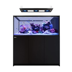 Red Sea REEFER MAX Peninsula S-700 G3 kopen? | Coralandfishstore.nl Red Sea REEFER MAX Peninsula S-700 G3 kopen? | Coralandfishstore.nl