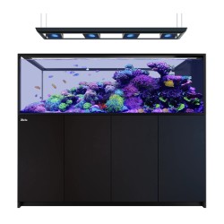 Red Sea REEFER MAX Peninsula S-950 G3 - Zwart Red Sea REEFER MAX Peninsula S-950 G3 - Zwart