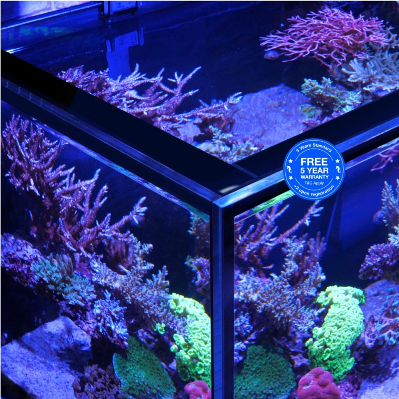 Red Sea REEFER S-850 G3 Deluxe - White (incl. RL- arms) kopen? Red Sea REEFER S-850 G3 Deluxe - White (incl. RL- arms) kopen?