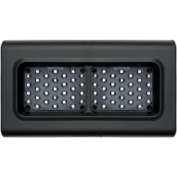 D-D SPEKTRUM 150 High Output LED Light