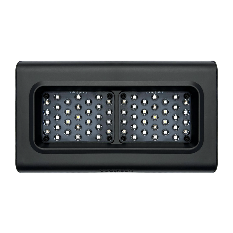 D-D SPEKTRUM 150 High Output LED Light