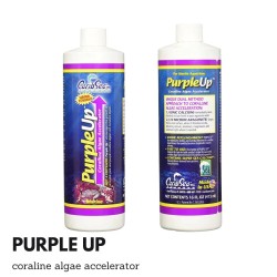 Caribsea purple up 473ml