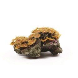 Kunstkoraal zoanthus polyp colony tan