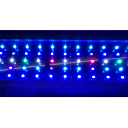 Aqua Medic Sunbeam 60 kopen? | Coralandfishstore.nl