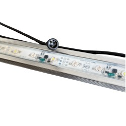JMB Aqua Led - DSR - Reef - High Power - Full Blue kopen? Coralandfishstore.nl