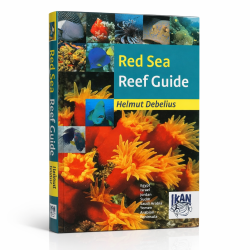 Red Sea Reef Guide