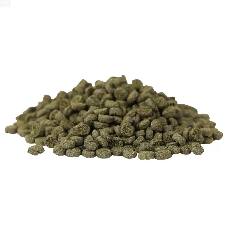 Hikari Meeresalge Kleines Pellet 100 gr Hikari Meeresalge Kleines Pellet 100 gr