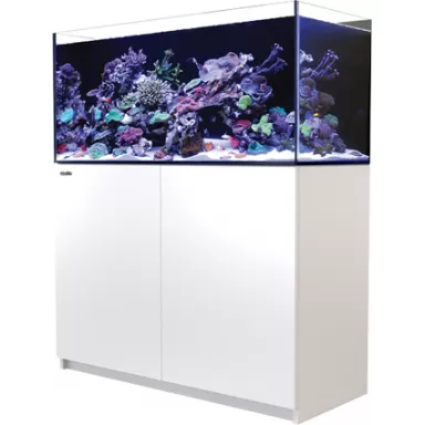 Red Sea Reefer 350 System G2+ White kaufen | Coralandfishstore.nl