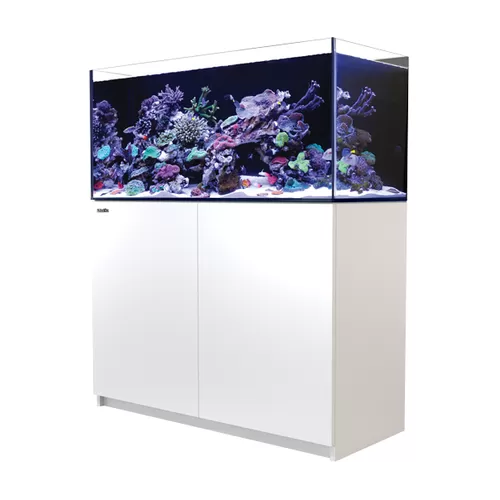 Red Sea Reefer 350 G2+ Wit