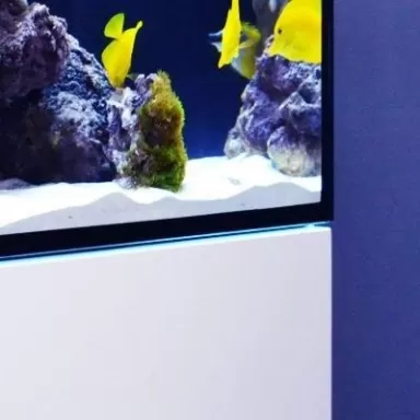Red Sea Reefer XXL 750 G2+ Deluxe Wit (incl Reefled 90)