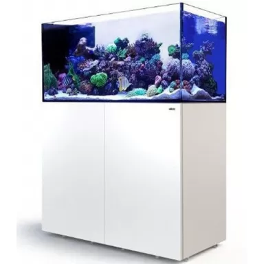 Kaufen Sie Red Sea Peninsula P500 weiß | Coralandfishstore.nl