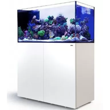 Red Sea Peninsula G2+ 500 System kaufen – Weiß | Coralandfishstore.nl