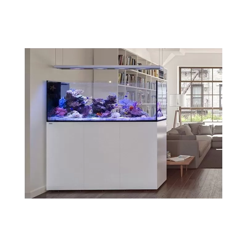 Red Sea Reefer Peninsula P500 zwart - 7290100779903 Red Sea Reefer Peninsula P500 zwart - 7290100779903