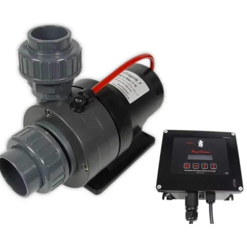 Royal Exclusiv Red Dragon 3 Speedy 150W