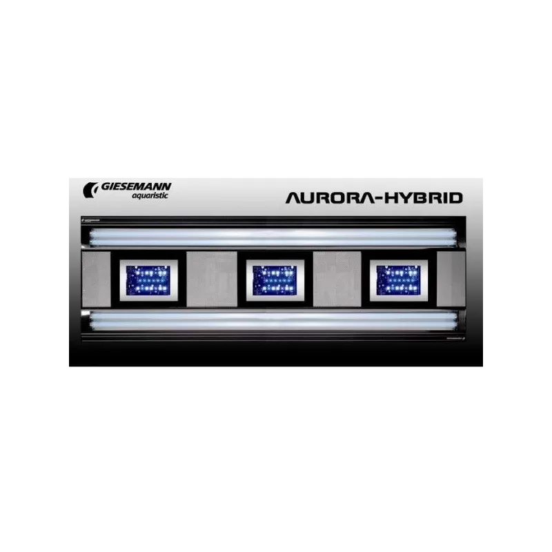 Giesemann Aurora Hybrid 600 Giesemann Aurora Hybrid 600
