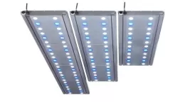 Aquarium LED verlichting kopen