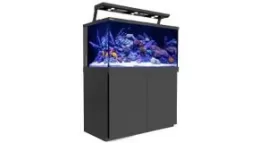 Ein komplettes Aquarium kaufen? Online bestellen!