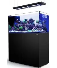 Red Sea Aquarium kaufen? Online bestellen!