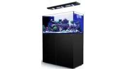 Red Sea Aquarium kaufen? Online bestellen!