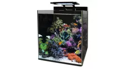 Nano aquarium kopen? Bestel eenvoudig online!