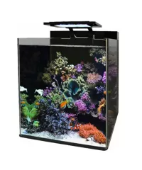 Blue Marine Aquarium kopen bij Coral and Fish Store | Beste kwaliteit en service