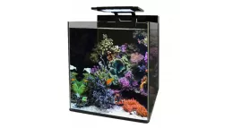 Blue Marine Aquarium kopen bij Coral and Fish Store | Beste kwaliteit en service