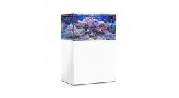 Aqua Medic Aquarium Kopen bij CoralandFishStore - Grootste Assortiment!