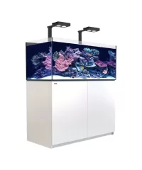 Meeresaquarium