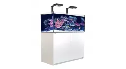 Zee aquarium kopen? Bestel online!