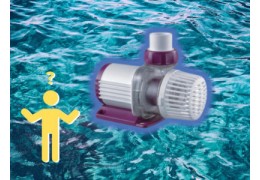 Wähle die Perfekte Förderpumpe für Dein Aquarium!