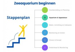 Schritt-für-Schritt-Anleitung zum Starten eines Meerwasseraquariums: Schritt 2