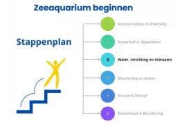 Stappenplan zeeaquarium beginnen: Schritt 3