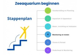 Schritt-für-Schritt-Anleitung für den Start eines Meerwasseraquariums: Schritt 4