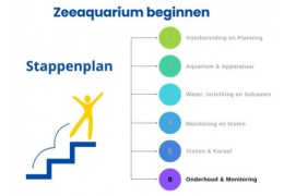 Schritt-für-Schritt-Anleitung zum Starten eines Meerwasseraquariums: Schritt 6