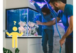 Worauf muss man alles achten beim Einrichten eines Meerwasseraquariums?
