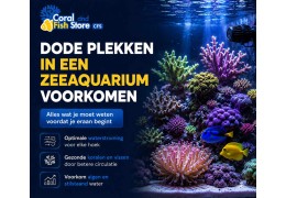 Dode plekken in een zeeaquarium voorkomen