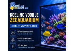 Koeling voor je zeeaquarium, chiller vs ventilator