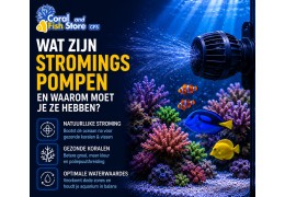 Wat zijn stromingspompen en waarom moet je ze hebben?