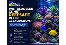 Wat bedoelen ze met reefsafe in een zeeaquarium?