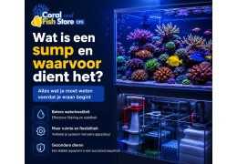 Wat is een sump en waarvoor dient het?