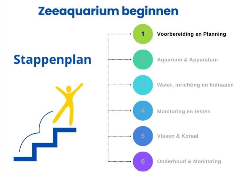 Schritt-für-Schritt-Anleitung zum Starten eines Meerwasseraquariums: Schritt 1