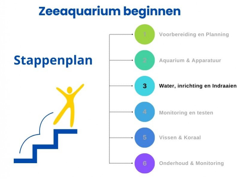 Stappenplan zeeaquarium beginnen: Schritt 3