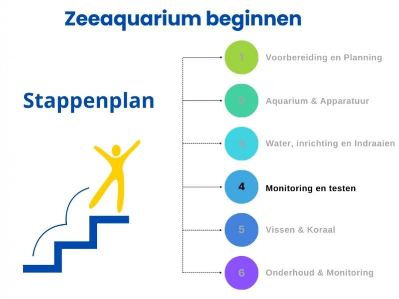 Stappenplan zeeaquarium beginnen: Stap 4