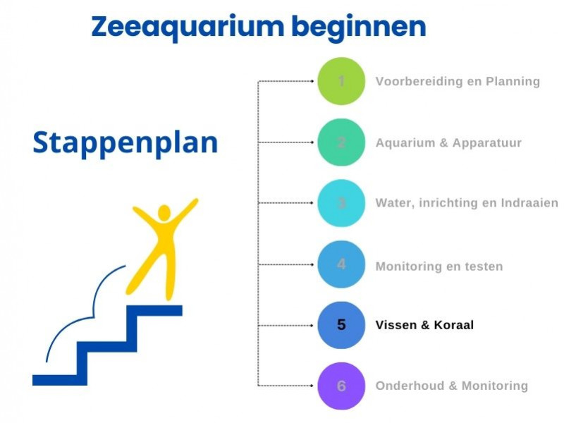 Schritt-für-Schritt-Anleitung zum Starten eines Meerwasseraquariums: Schritt 5