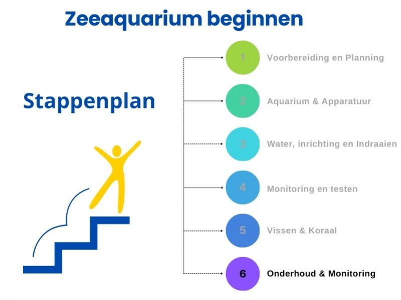 Schritt-für-Schritt-Anleitung zum Starten eines Meerwasseraquariums: Schritt 6
