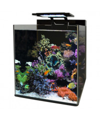 Nano aquarium kopen? Bestel eenvoudig online!
