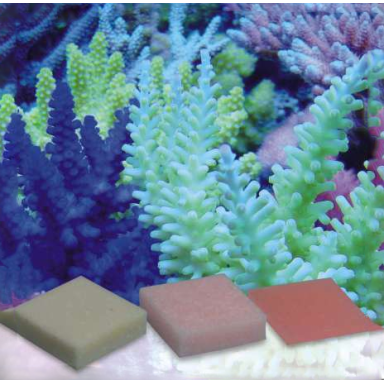 Korallen Zucht automatic elements kalium iodine 10pcs
