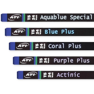 ATI - T5  Aquablue Special...