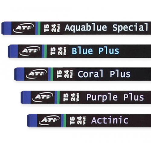 ATI - T5  Aquablue Special...