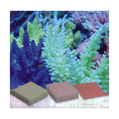 Korallen Zucht Automatic Elements Iron 20 pcs